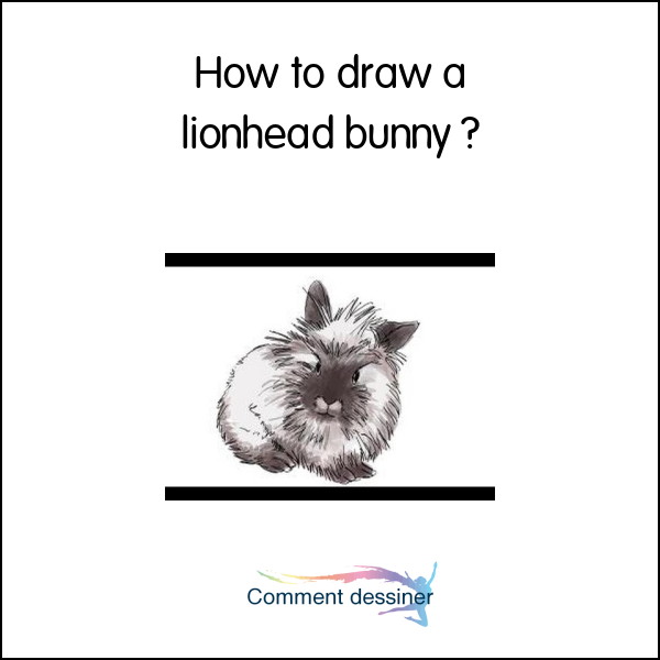 How to draw a lionhead bunny